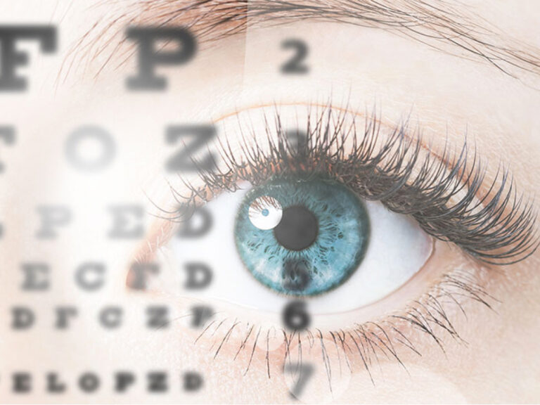 img-exemple-article-2